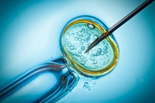 IVF Procedures